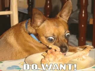 MUST SEE - Very Funny Dogs