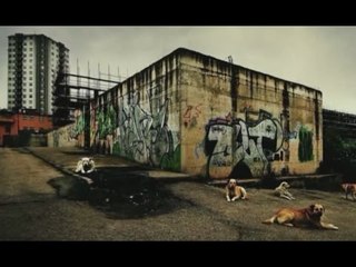 Napoli - “Animal Day” al museo Pan -1- (14.10.14)