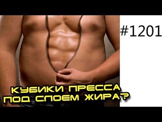 Как узнать, если ли у тебя кубики пресса под слоем жира