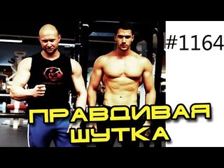Как накачать пресс - правдивая шутка