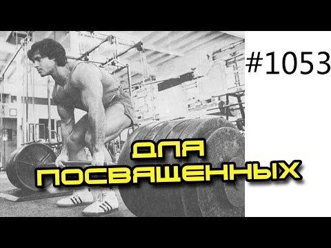 Золотая серия видеороликов только для подписчиков. Техника упражнений для зала