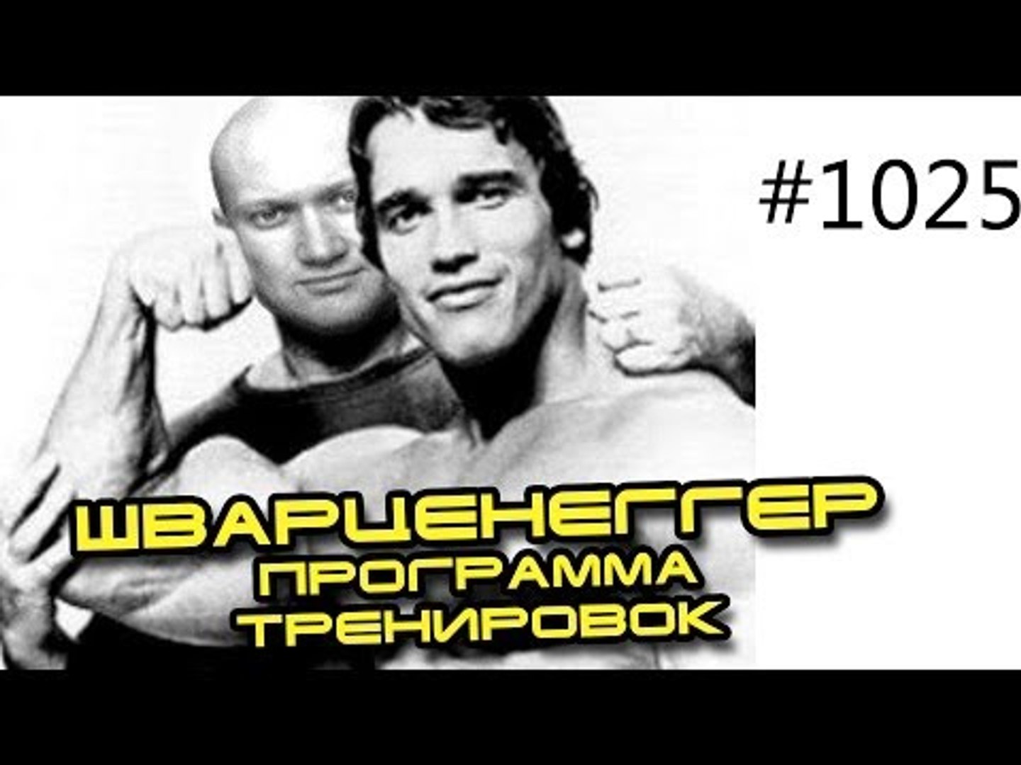 ⁣Арнольд Шварценеггер - программа тренировок, анализ методики, энциклопедия, бодибилдинг мотивация