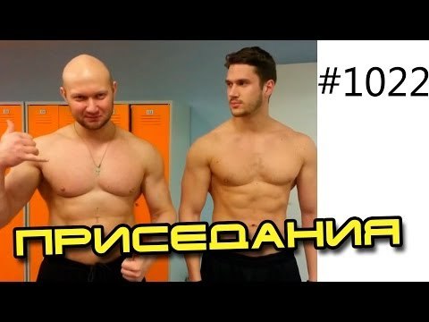 Приседания со штангой - мнение Юрия. Упражнения для ног или Как накачать ноги