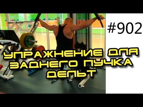 Разведение рук в тренажере наутилус, баттерфляй, бабочка для заднего пучка дельт. Обучающие видео.