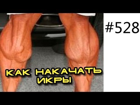 Как накачать икры, икроножные и камбаловидные мышцы, Подъем на носки стоя.Тренировка с весом 350 кг