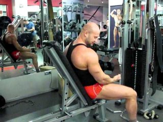 № 237. Сгибания рук сидя у нижнего блока. Бицепс.