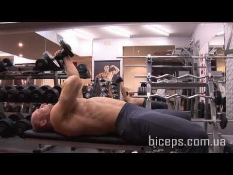 Как накачать трицепс. - №24. Французский жим с гантелей лежа