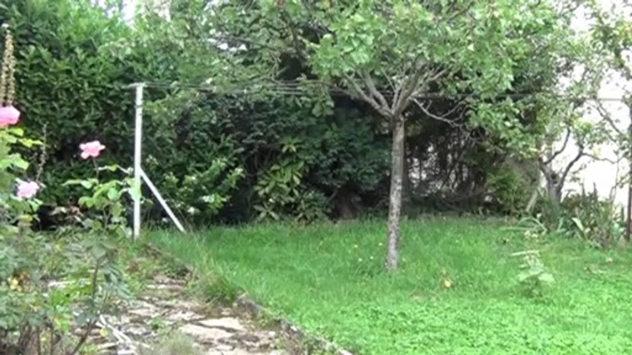 Dijon Bourroches maison jumelée - Agence CARREZ immobilier