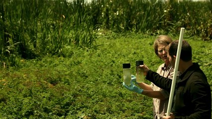 Yeniden Yeryüzü - Sifonu Gururla Çekmek
