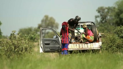 Yeniden Yeryüzü - Büyük Yeşil Set