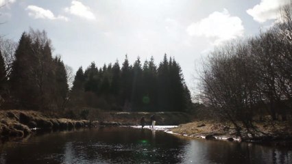Yeniden Yeryüzü - İnci Midyesini Korumak