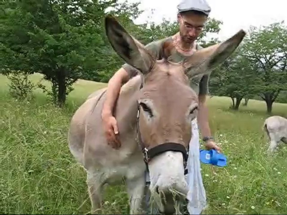 Familienurlaub _Eselwandern in den französischen Südalpen_ - ReNatour