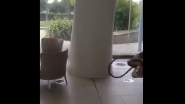 Effrayer son pote en faisant les bruitages de Street Fighter!