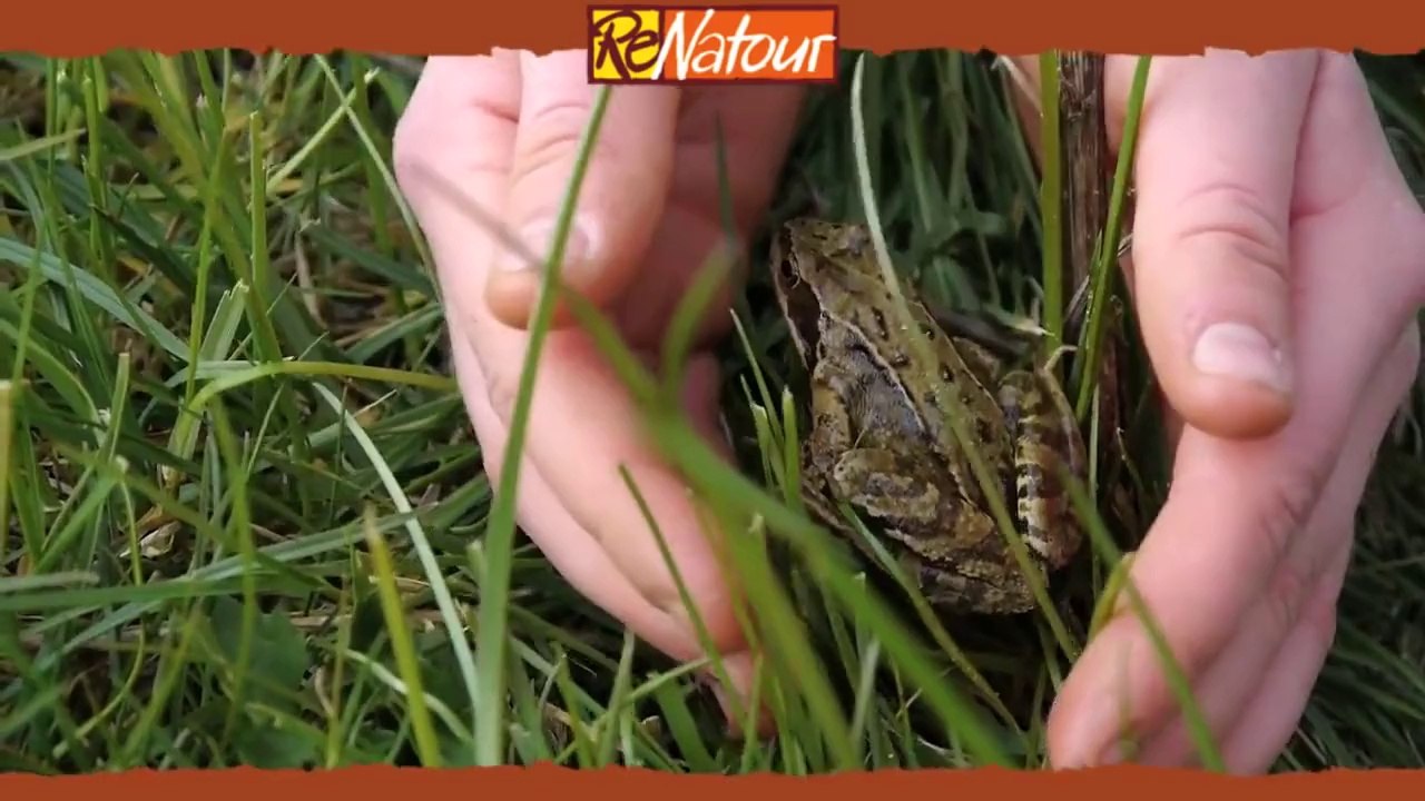 Familienurlaub Nordsee_ _Hier können Sie Watt erleben!_ - ReNatour