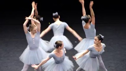 Vienna State Opera, funny ballet.