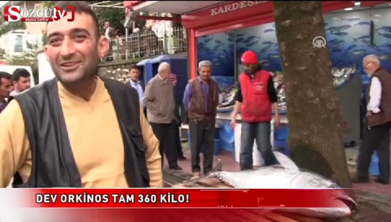 Dev orkinos tam 360 kilo!