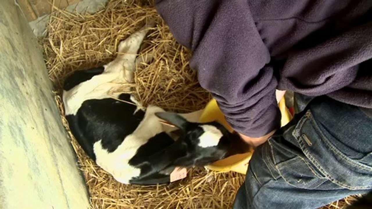 Paroles d'Agriculteur n°10 : Mon entreprise se développe, je l'adapte