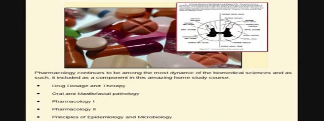 The Surest Way to Master Human Anatomy Fast