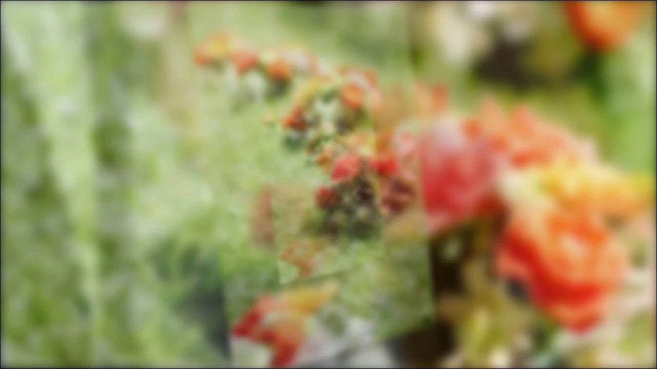 Diaporama mariage avec musique