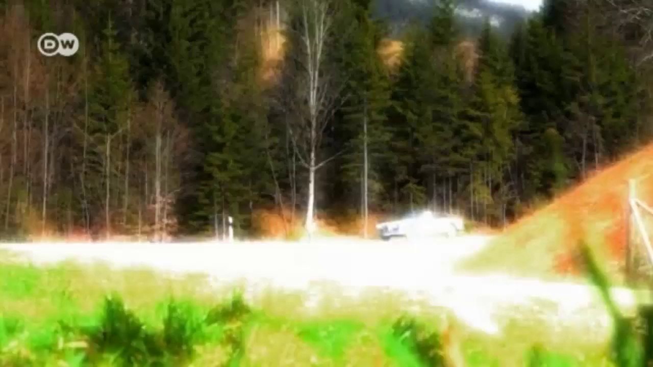 Mit Stil: BMW 503 Cabriolet | Motor mobil