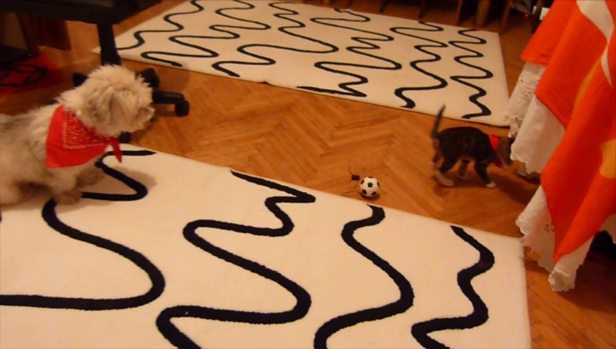 De l'ombre et de la lumière