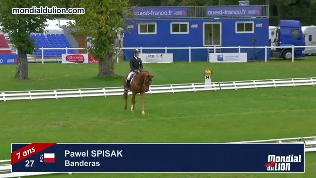 Mondial du Lion - 2014 (REPLAY) Pawel SPISAK (POL) et Banderas