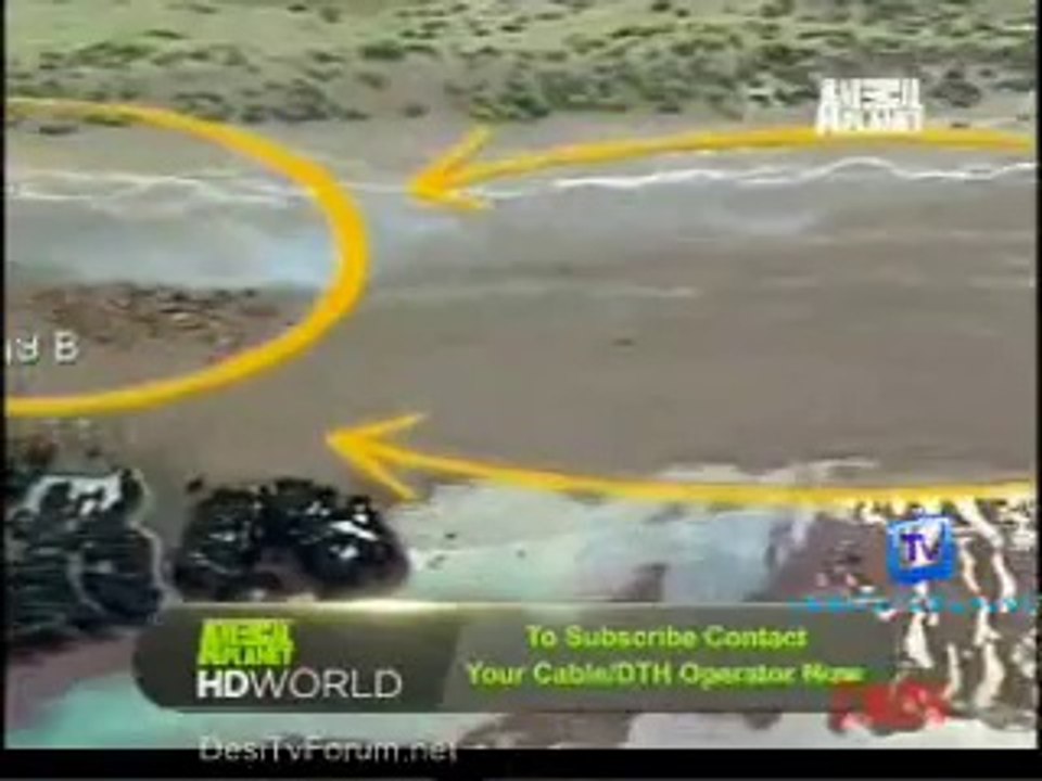 Be The Creature 15th October 2014 Video Watch Online pt1