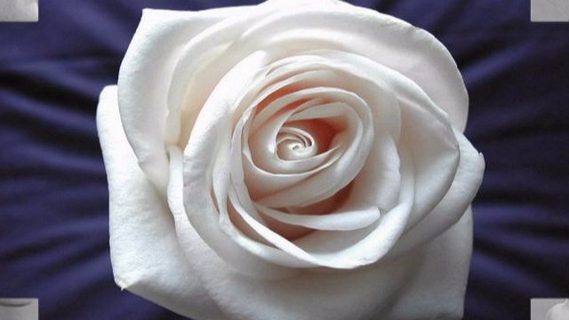 Nie kochać w taką noc to grzech ... WIERA GRAN