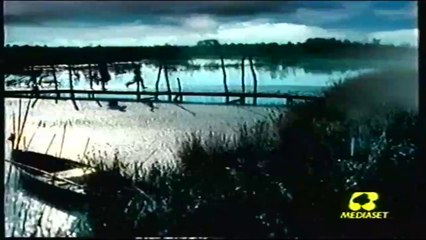 vw passat variant spot (1998)