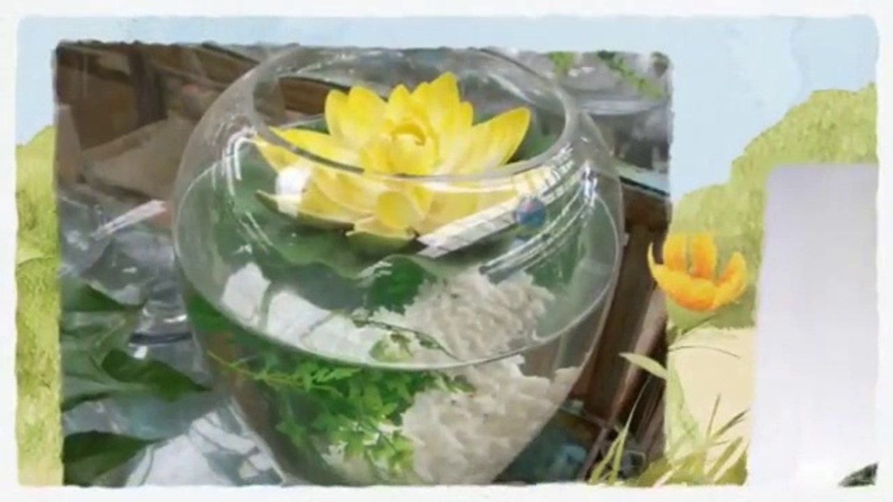 Easy Diy Aquaponics Money Back Guarantee