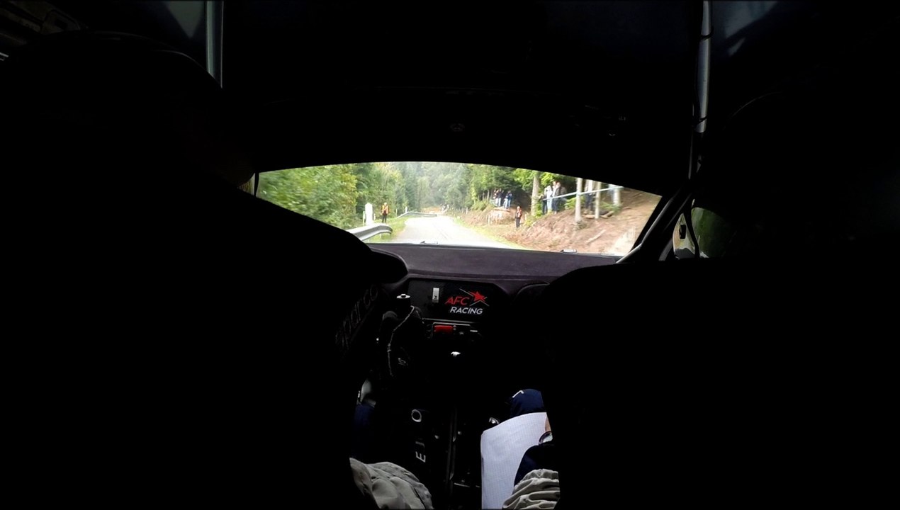 caméra embarquée Rallye de France 2014 foret de saverne es 18 JP MONNIN franck GILLIOT 208 R2