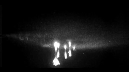 Sprite Lightning in Slow Motion