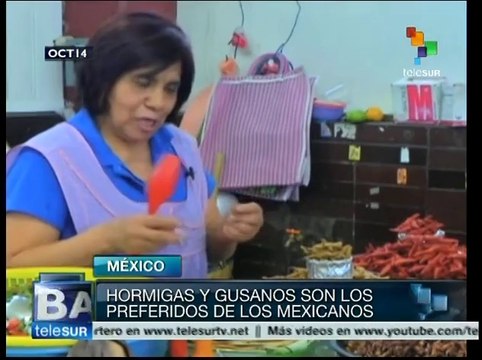 Ingredientes prehispánicos, el encanto de la cocina mexicana