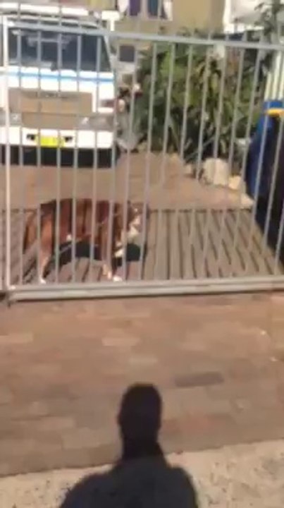 Who Is Bilawal Bhutto Zardari? Who Is Altaf Hussain ??  A Short Clip Hassan Butt Made To Describe