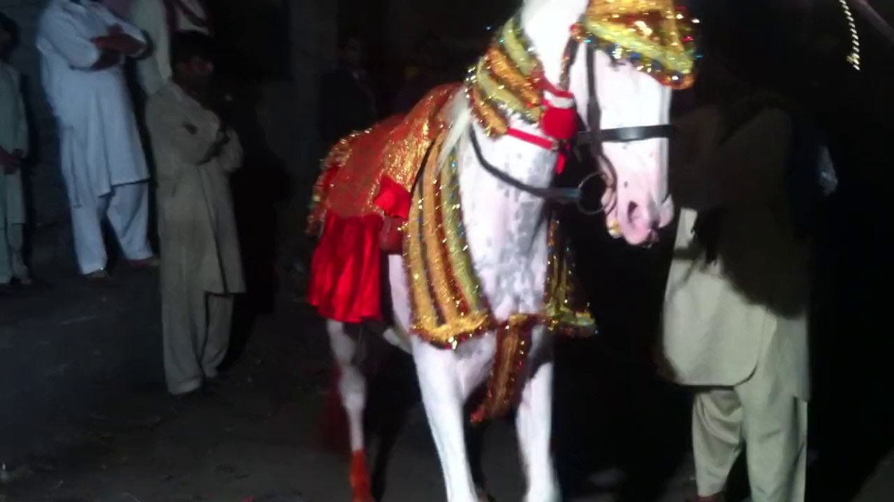 horse dance