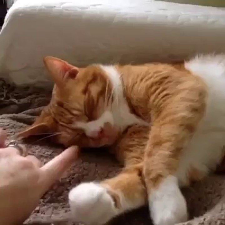 Ooh!!   That's so sweet!!