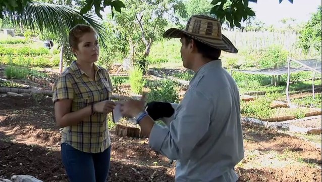 Interviews From Havana - Ecological Food Production