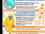 Ebola Virus - Ebola Breakout (MiracleAlternatives.com)
