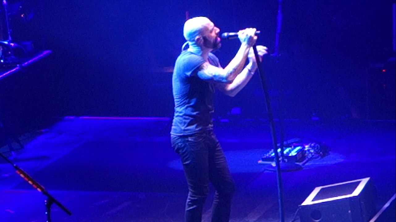 Daughtry - Witness