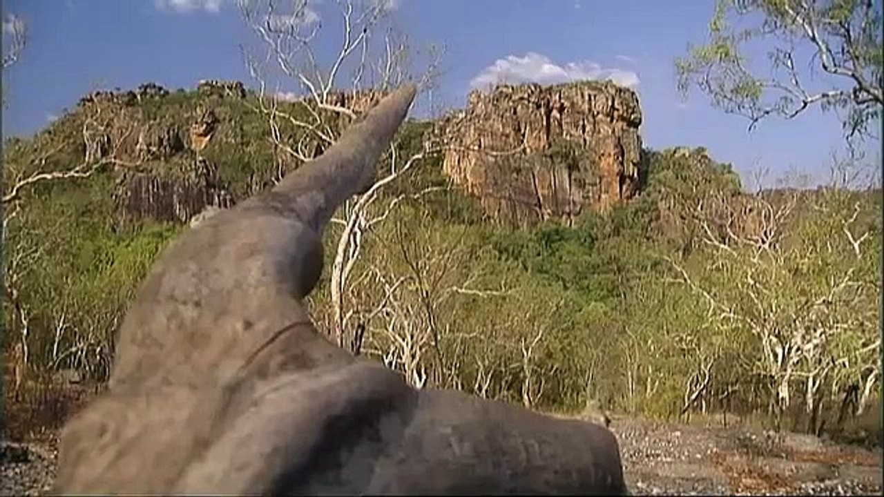 Travel Oz: Breathtaking Kakadu