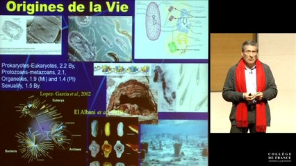 Sexes et biodiversité