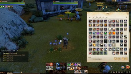 Archeage 5 Daily Quests for 5 Gilda Stars in 24 mins