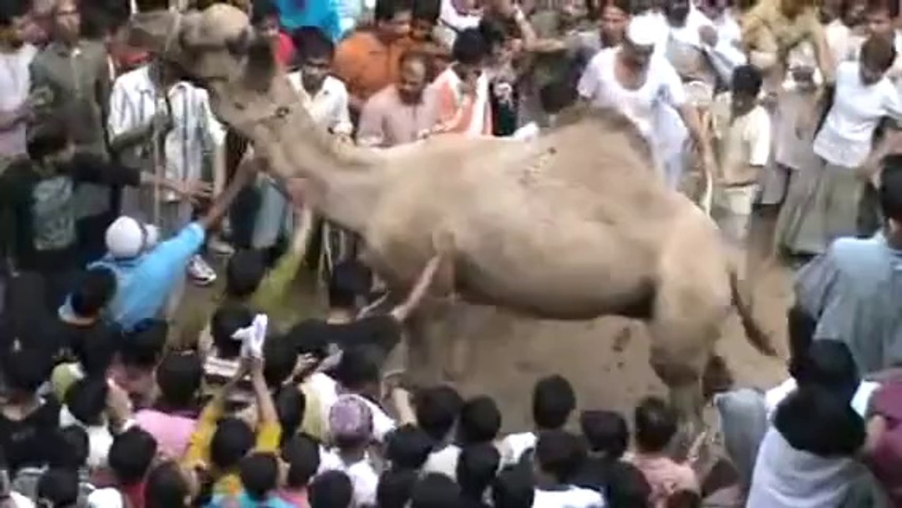 Brutal Qurbani in Karachi