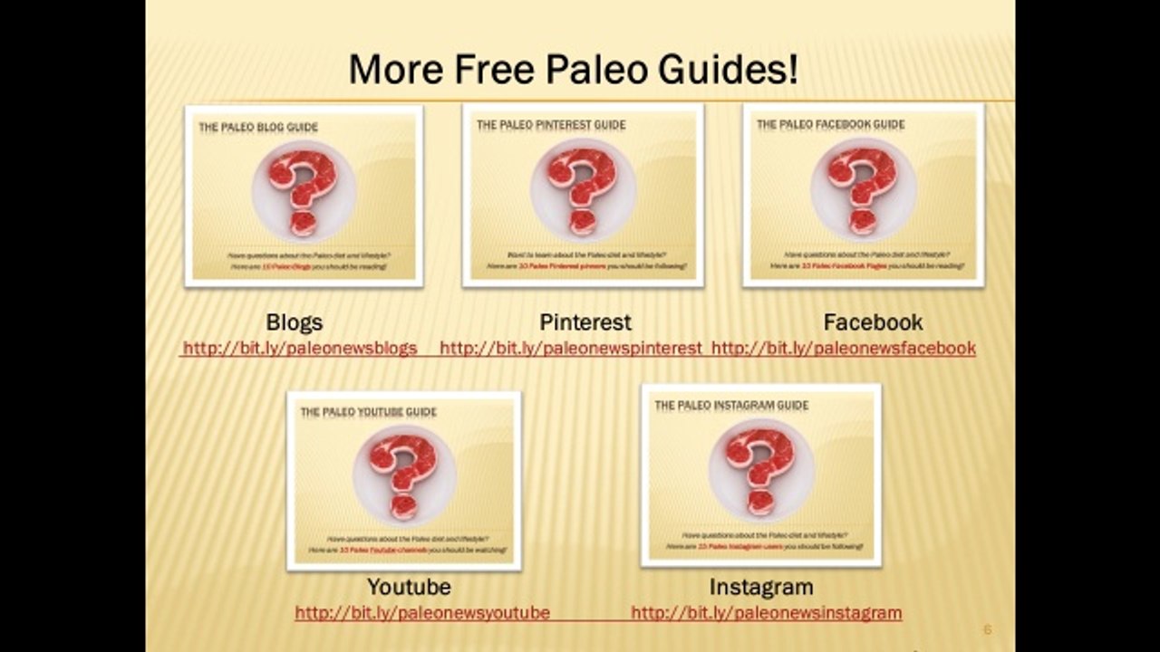 Paleo Twitter Guide Summary