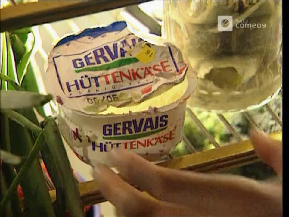 Die Harald Schmidt Show - 0088 - 1996-04-23 - Michael Roll, Daniela Lunkewitz, Johnny Guitar Watson