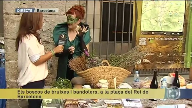TV3 - Els Matins - Els matins - 15/10/2014