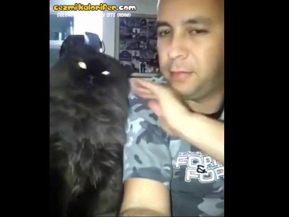 Sahibine Aşık Kedi Dailymotion Video