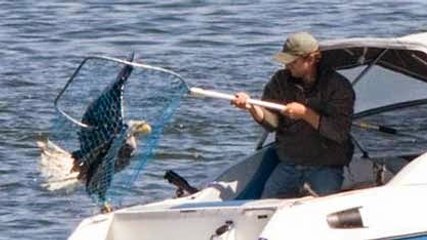 Oltayla Kartal Yakalayan Balıkçı