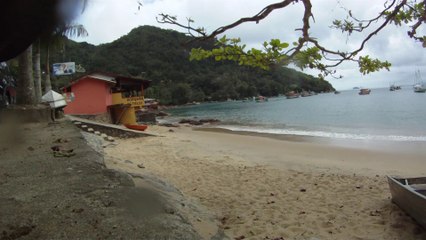Polvo gigante, Praias, Mares, Apneia, Natureza Marinha, Ubatuba, SP, Brasil, Marcelo Ambrogi, (20)