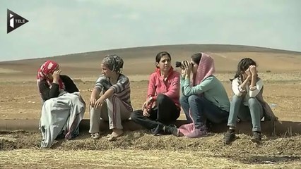 Kobane vue de l'autre côté de la frontière